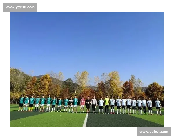 两黄一红掀起赛场风云裁判尺度与比赛走向的关键博弈解析全面剖析